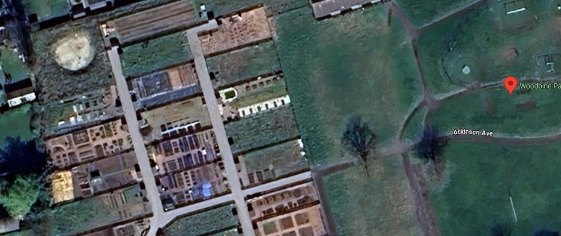 Allotments in Brigg